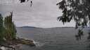 ./images/koeye/fitz-hugh/20260603/fitz-hugh20260603_130501M.jpg