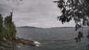 ./images/koeye/fitz-hugh/20260603/fitz-hugh20260603_131001M.jpg