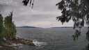 ./images/koeye/fitz-hugh/20260603/fitz-hugh20260603_132001M.jpg