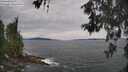 ./images/koeye/fitz-hugh/20260603/fitz-hugh20260603_133002M.jpg