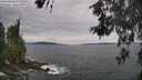./images/koeye/fitz-hugh/20260603/fitz-hugh20260603_133501M.jpg