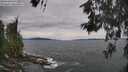 ./images/koeye/fitz-hugh/20260603/fitz-hugh20260603_134501M.jpg