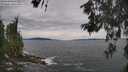 ./images/koeye/fitz-hugh/20260603/fitz-hugh20260603_135001M.jpg
