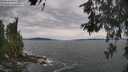 ./images/koeye/fitz-hugh/20260603/fitz-hugh20260603_140001M.jpg
