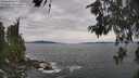 ./images/koeye/fitz-hugh/20260603/fitz-hugh20260603_140501M.jpg