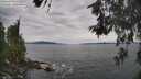 ./images/koeye/fitz-hugh/20260603/fitz-hugh20260603_141002M.jpg