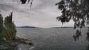 ./images/koeye/fitz-hugh/20260603/fitz-hugh20260603_142501M.jpg