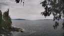 ./images/koeye/fitz-hugh/20260603/fitz-hugh20260603_143501M.jpg