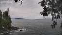 ./images/koeye/fitz-hugh/20260603/fitz-hugh20260603_144501M.jpg