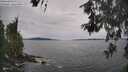./images/koeye/fitz-hugh/20260603/fitz-hugh20260603_145501M.jpg