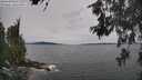 ./images/koeye/fitz-hugh/20260603/fitz-hugh20260603_151002M.jpg