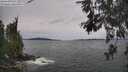./images/koeye/fitz-hugh/20260603/fitz-hugh20260603_152501M.jpg