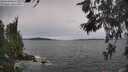 ./images/koeye/fitz-hugh/20260603/fitz-hugh20260603_154001M.jpg