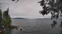 ./images/koeye/fitz-hugh/20260603/fitz-hugh20260603_160501M.jpg