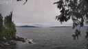 ./images/koeye/fitz-hugh/20260603/fitz-hugh20260603_161001M.jpg