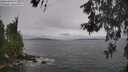 ./images/koeye/fitz-hugh/20260603/fitz-hugh20260603_171501M.jpg