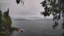 ./images/koeye/fitz-hugh/20260603/fitz-hugh20260603_172001M.jpg