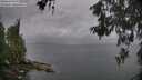 ./images/koeye/fitz-hugh/20260603/fitz-hugh20260603_183501M.jpg