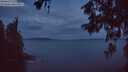 ./images/koeye/fitz-hugh/20260604/fitz-hugh20260604_042502M.jpg