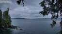 ./images/koeye/fitz-hugh/20260604/fitz-hugh20260604_052001M.jpg