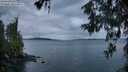 ./images/koeye/fitz-hugh/20260604/fitz-hugh20260604_052501M.jpg