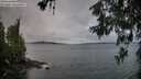 ./images/koeye/fitz-hugh/20260604/fitz-hugh20260604_054001M.jpg