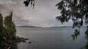 ./images/koeye/fitz-hugh/20260604/fitz-hugh20260604_054501M.jpg