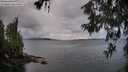 ./images/koeye/fitz-hugh/20260604/fitz-hugh20260604_055501M.jpg