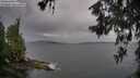 ./images/koeye/fitz-hugh/20260604/fitz-hugh20260604_063501M.jpg