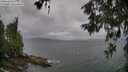 ./images/koeye/fitz-hugh/20260604/fitz-hugh20260604_073501M.jpg