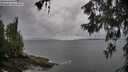 ./images/koeye/fitz-hugh/20260604/fitz-hugh20260604_081501M.jpg