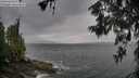 ./images/koeye/fitz-hugh/20260604/fitz-hugh20260604_083001M.jpg
