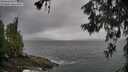 ./images/koeye/fitz-hugh/20260604/fitz-hugh20260604_083501M.jpg