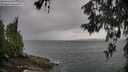 ./images/koeye/fitz-hugh/20260604/fitz-hugh20260604_084001M.jpg