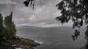 ./images/koeye/fitz-hugh/20260604/fitz-hugh20260604_091002M.jpg