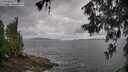 ./images/koeye/fitz-hugh/20260604/fitz-hugh20260604_091501M.jpg