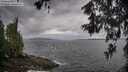 ./images/koeye/fitz-hugh/20260604/fitz-hugh20260604_092001M.jpg