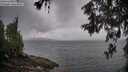 ./images/koeye/fitz-hugh/20260604/fitz-hugh20260604_094001M.jpg