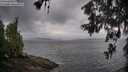 ./images/koeye/fitz-hugh/20260604/fitz-hugh20260604_095002M.jpg