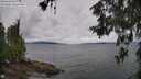 ./images/koeye/fitz-hugh/20260604/fitz-hugh20260604_123002M.jpg