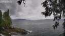 ./images/koeye/fitz-hugh/20260604/fitz-hugh20260604_124001M.jpg