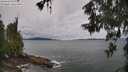 ./images/koeye/fitz-hugh/20260604/fitz-hugh20260604_125502M.jpg
