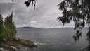 ./images/koeye/fitz-hugh/20260604/fitz-hugh20260604_130501M.jpg