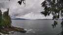 ./images/koeye/fitz-hugh/20260604/fitz-hugh20260604_131502M.jpg