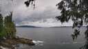./images/koeye/fitz-hugh/20260604/fitz-hugh20260604_132001M.jpg