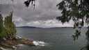 ./images/koeye/fitz-hugh/20260604/fitz-hugh20260604_133002M.jpg