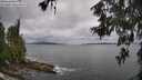 ./images/koeye/fitz-hugh/20260604/fitz-hugh20260604_135001M.jpg
