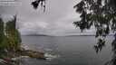 ./images/koeye/fitz-hugh/20260604/fitz-hugh20260604_135502M.jpg