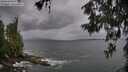 ./images/koeye/fitz-hugh/20260604/fitz-hugh20260604_140002M.jpg