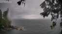 ./images/koeye/fitz-hugh/20260604/fitz-hugh20260604_151501M.jpg